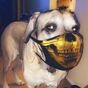 Meet your Posher, Angel